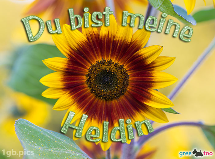 Sonnenblume Du Bist Meine Heldin