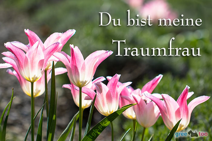 Du Bist Meine Traumfrau