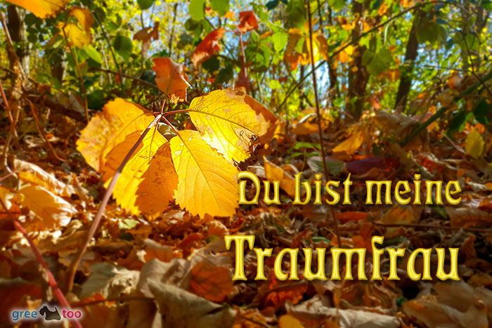 Du Bist Meine Traumfrau