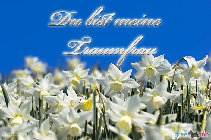 Du bist meine Traumfrau Bilder, Gästebuchbilder, GB Pics 1gb.pics