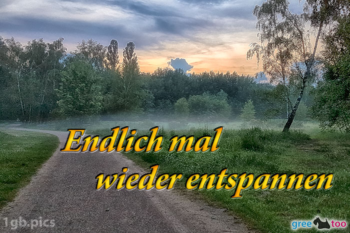 Nebel Endlich Entspannen