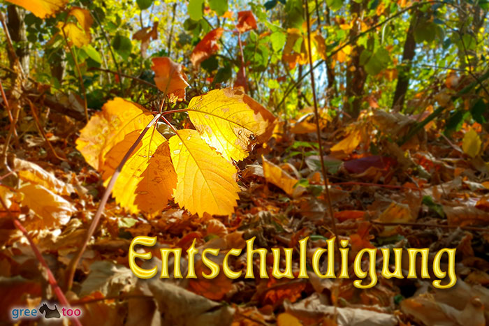 Entschuldigung von 1gbpics.com