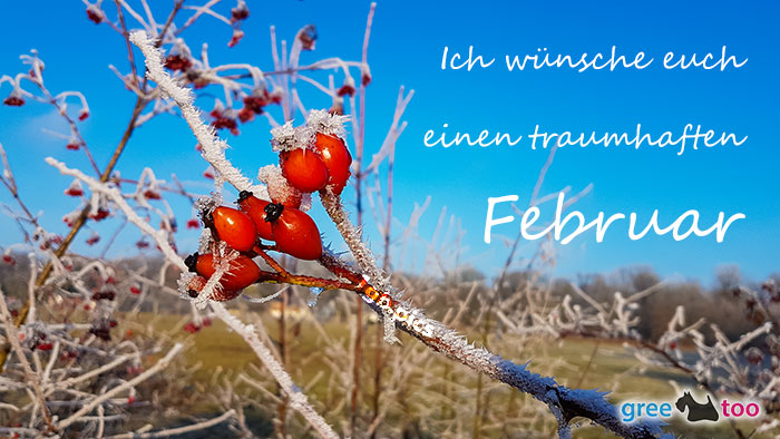 Einen Traumhaften Februar