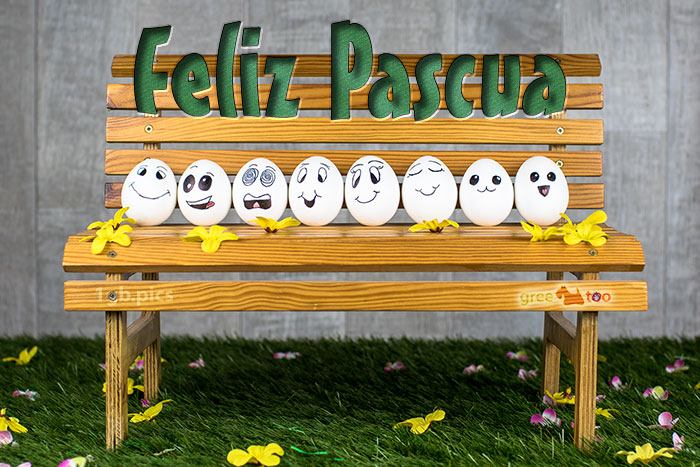 Feliz Pascua