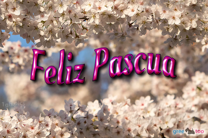 Feliz Pascua von 1gbpics.com