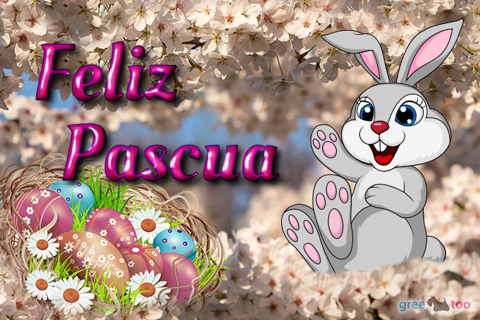 Feliz Pascua