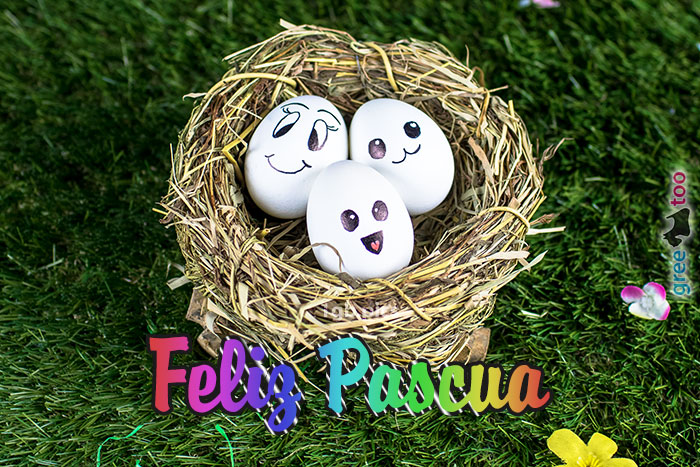 Feliz Pascua