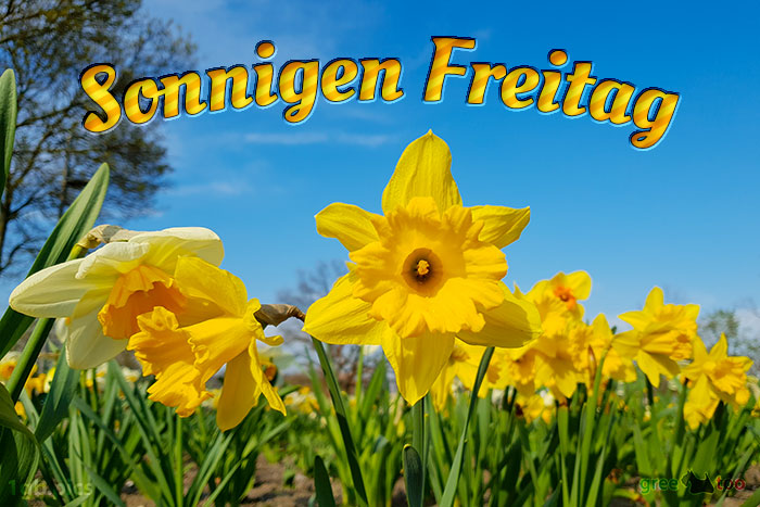 Sonnigen Freitag