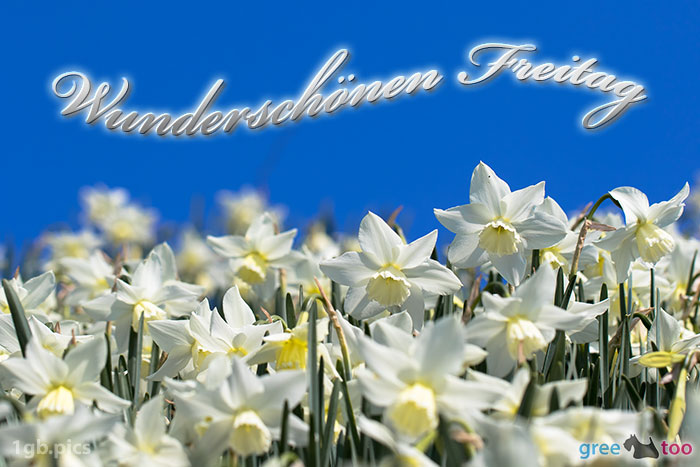 Freitag Bilder, Gästebuchbilder, GB Pics | 1gb.pics