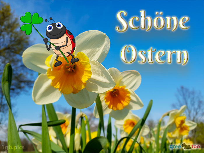 Schoene Ostern Bild - 1gb.pics