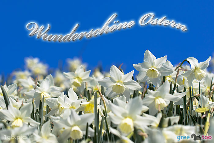 Wunderschoene Ostern