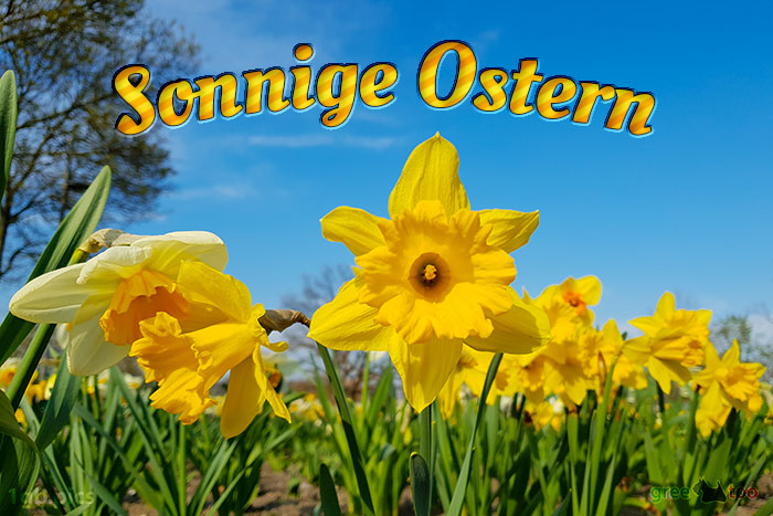 Sonnige Ostern