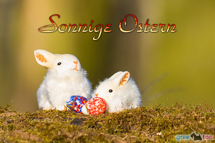 Sonnige Ostern