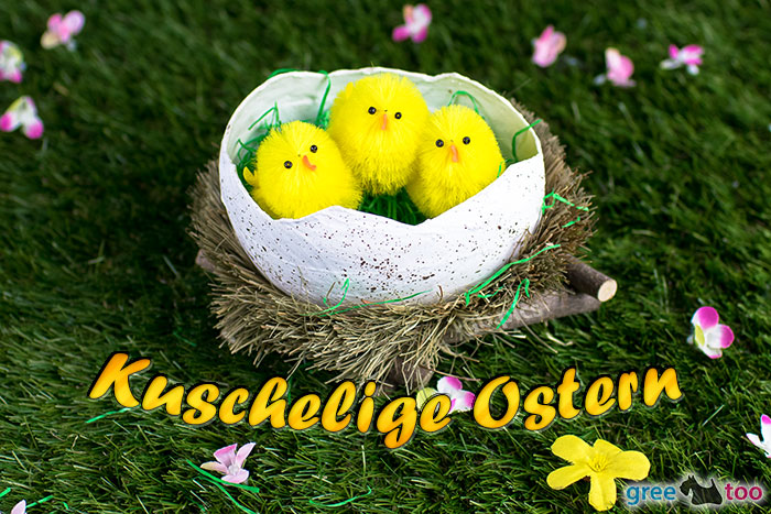 Kuschelige Ostern Bild - 1gb.pics