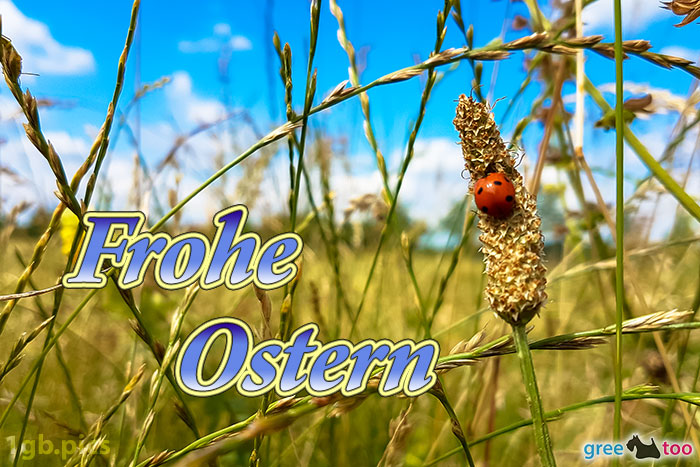 Frohe Ostern von 1gbpics.com