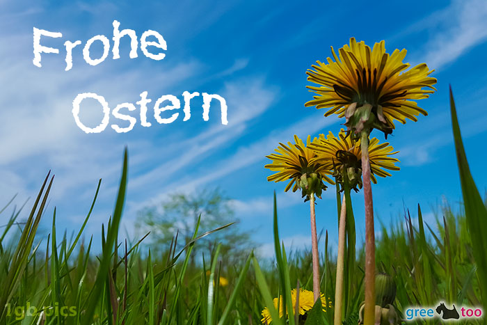 Loewenzahn Himmel Frohe Ostern