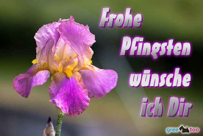 Frohe Pfingsten von 1gbpics.com