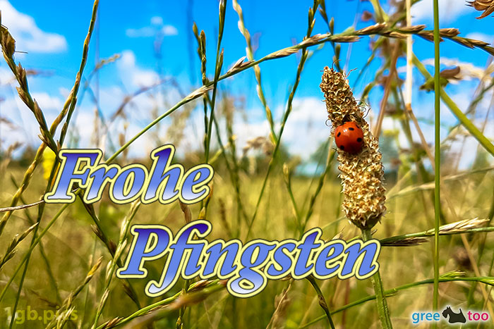 Frohe Pfingsten von 1gbpics.com