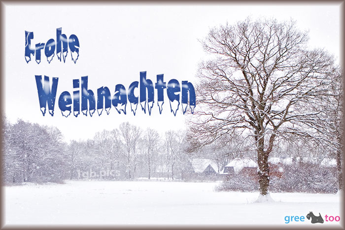 Frohe Weihnachten von 1gbpics.com