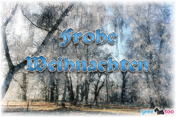 Frohe Weihnachten von 1gbpics.com