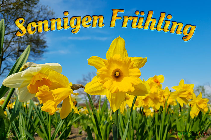 Sonnigen Fruehling