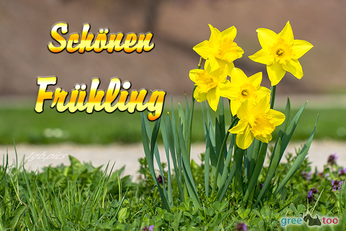 Frühling von 1gbpics.com