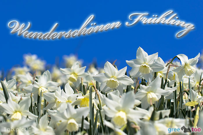 Frühling von 1gbpics.com