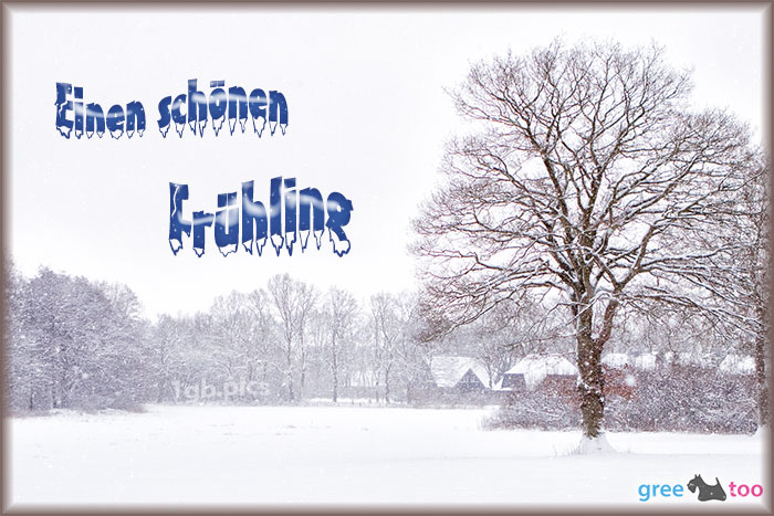 Frühling von 1gbpics.com