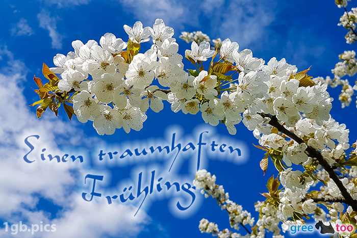 Frühling von 1gbpics.com