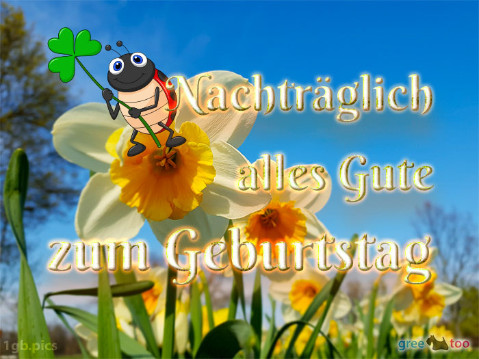 Nachtraeglich Alles Gute Geburtstag