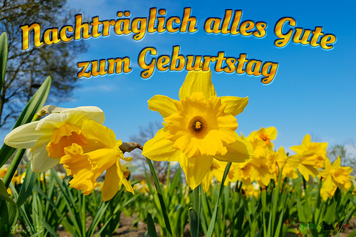 Nachtraeglich Sonnigen Geburtstag