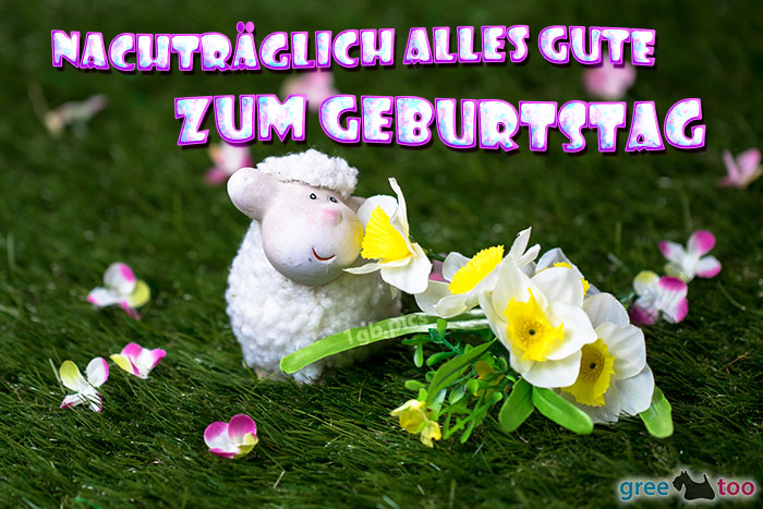 Nachträglich zum Geburtstag Bilder: Verspätete Glückwünsche mit Herz