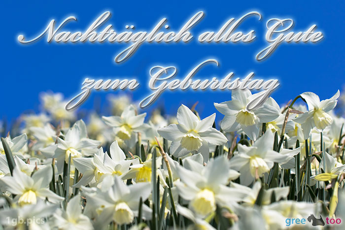 Nachtraeglich Alles Gute Zum Geburtstag