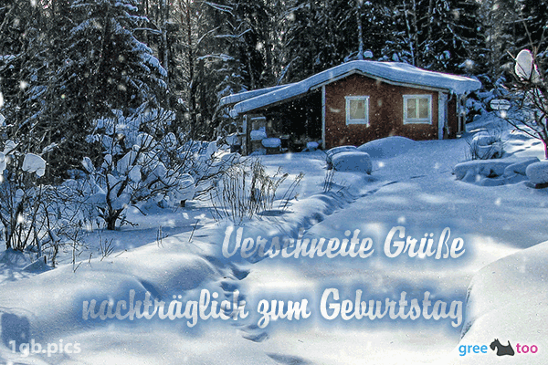 Verschneite Gruesse Nachtraeglich Zum Geburtstag Bild - 1gb.pics