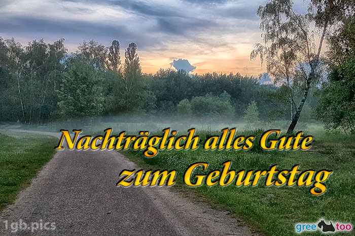 Nebel Nachtraeglich Ruhigen Geburtstag