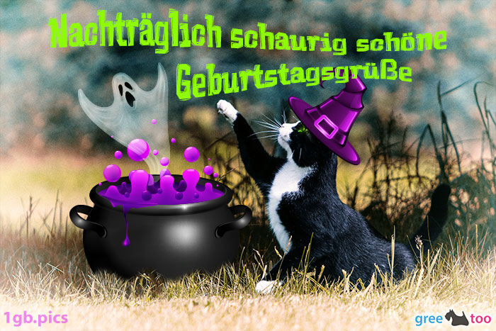 Katze Nachtraeglich Schaurig Schoene Geburtstagsgruesse Bild - 1gb.pics