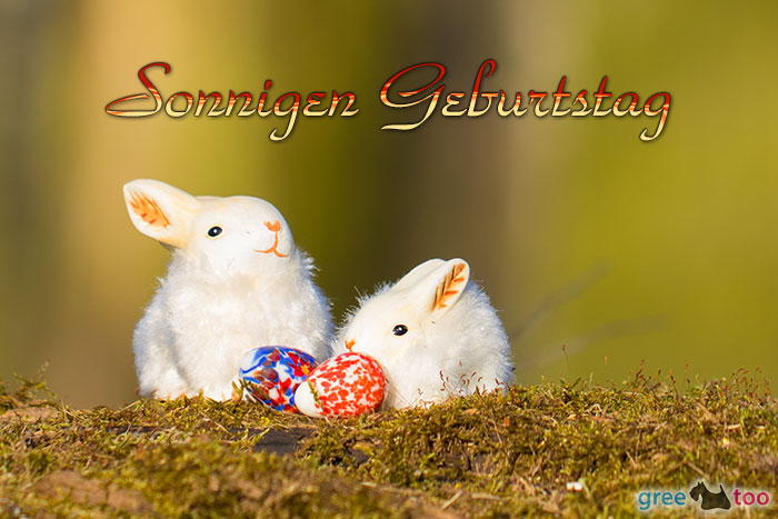 Sonnigen Geburtstag