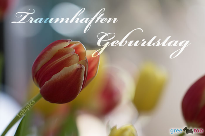 Traumhaften Geburtstag