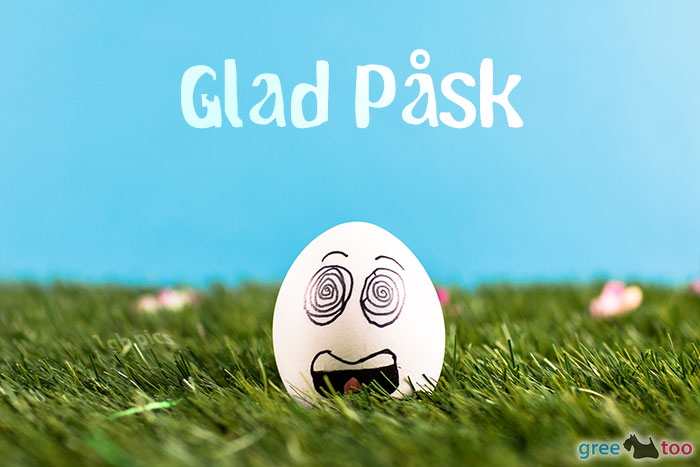 Glad Pask