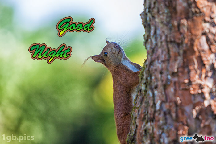 Good Night von 1gbpics.com