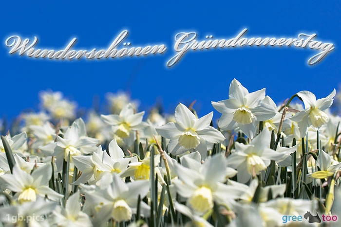 Gründonnerstag von 1gbpics.com