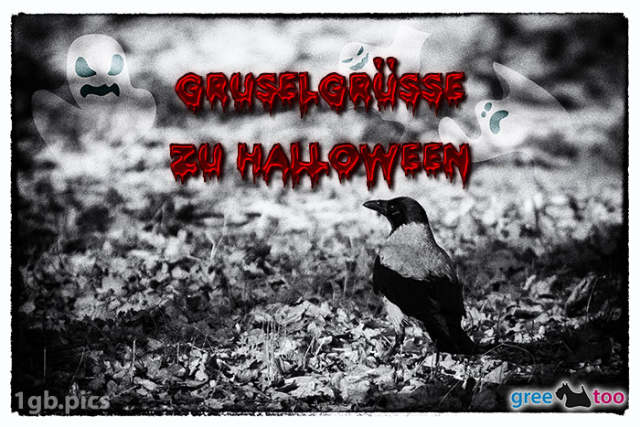 Kraehe Gruselgruesse Zu Halloween