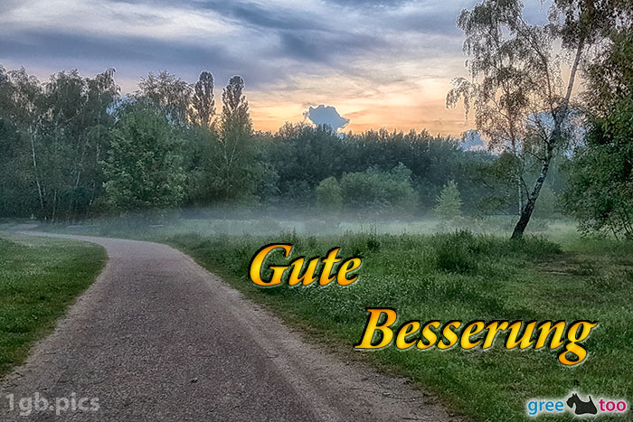 Nebel Gute Besserung