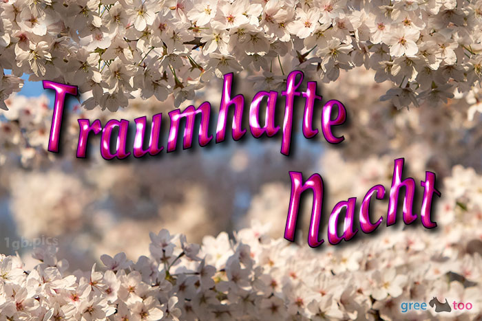 Traumhafte Nacht