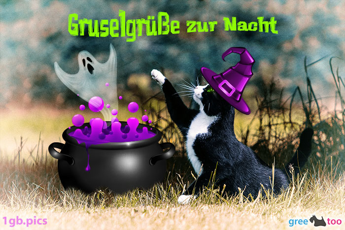 Katze Gruselgruesse Zur Nacht Bild - 1gb.pics