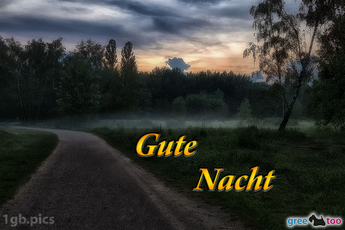 Nebel Gute Nacht