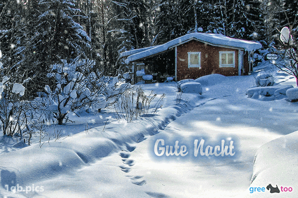 Verschneite Gruesse Gute Nacht Bild - 1gb.pics