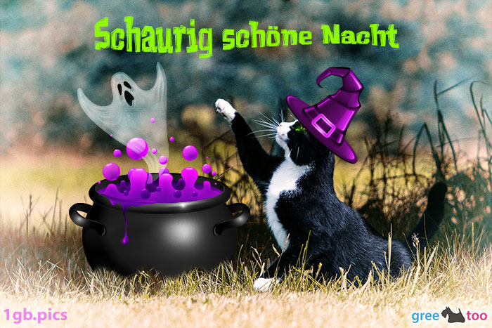 Katze Schaurig Schoene Nacht