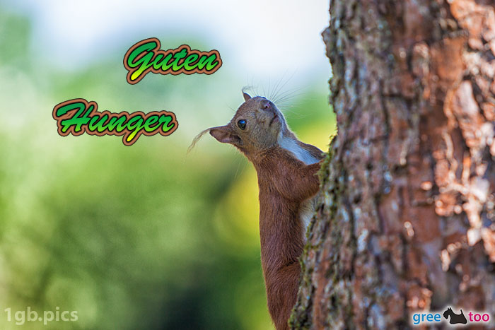 Guten Hunger von 1gbpics.com