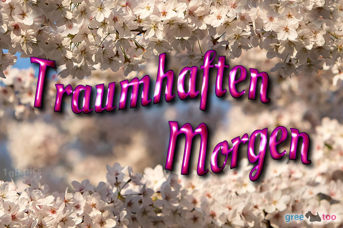 Traumhaften Morgen